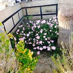Ξενοδοχείο Fari