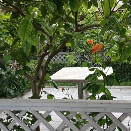 Fari Otel 4*