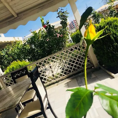 Fari Hotel 4*